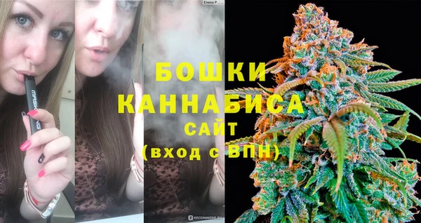 бошки Алексин