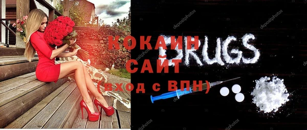 молекула духа Алзамай