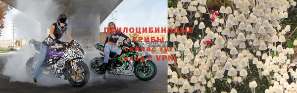 молекула духа Алзамай