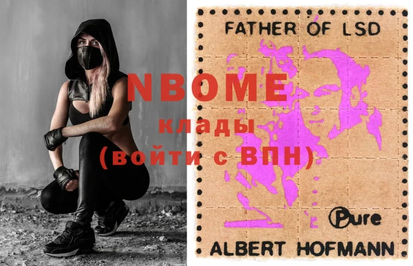 бошки Алексин