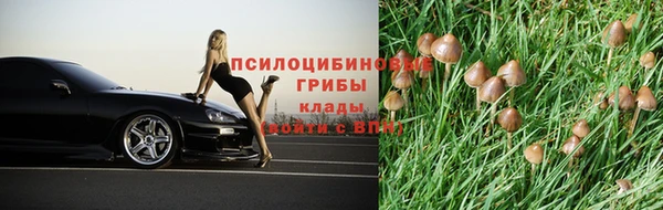 бошки Алексин